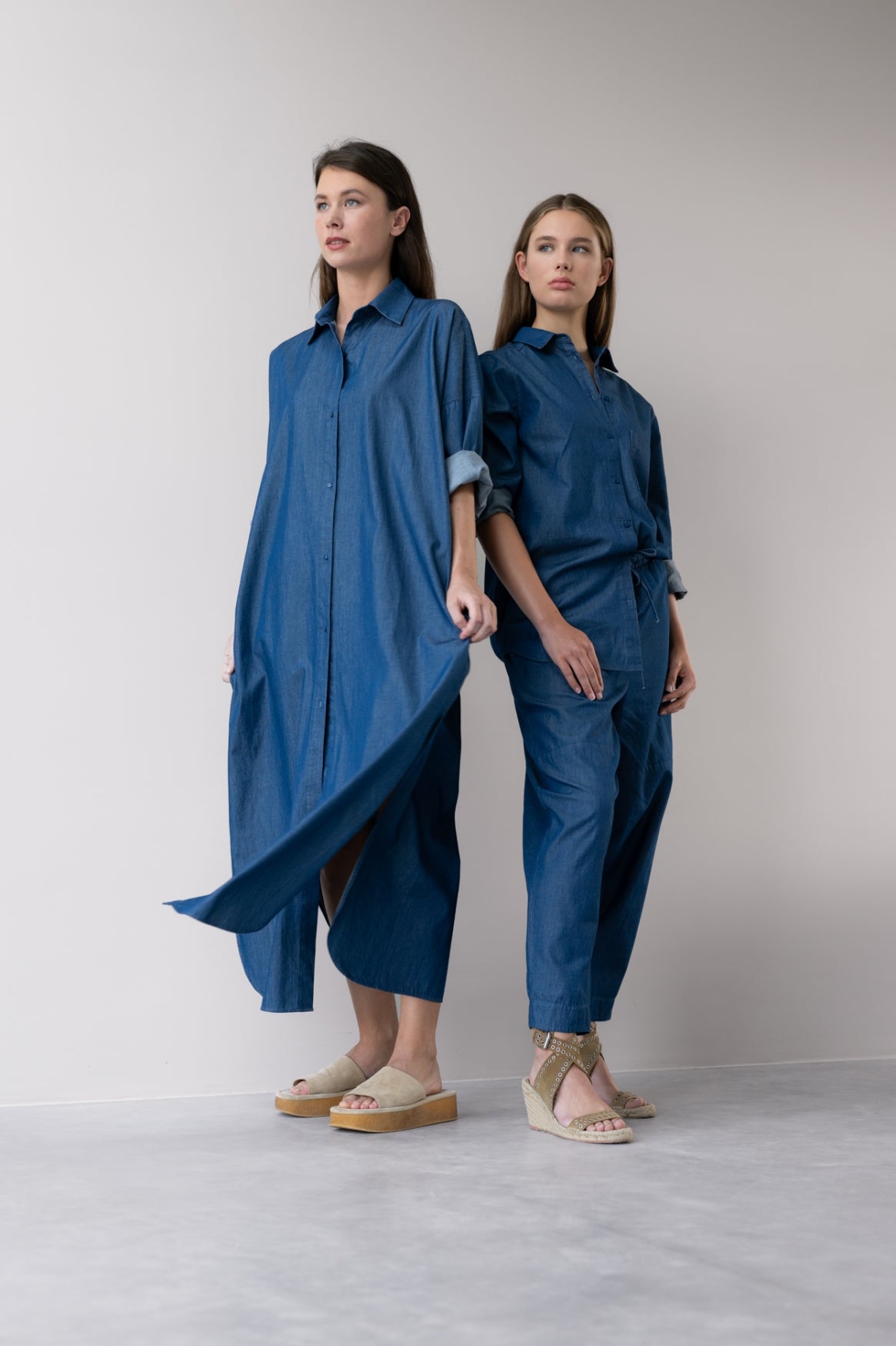 Jeannel Denim Dress