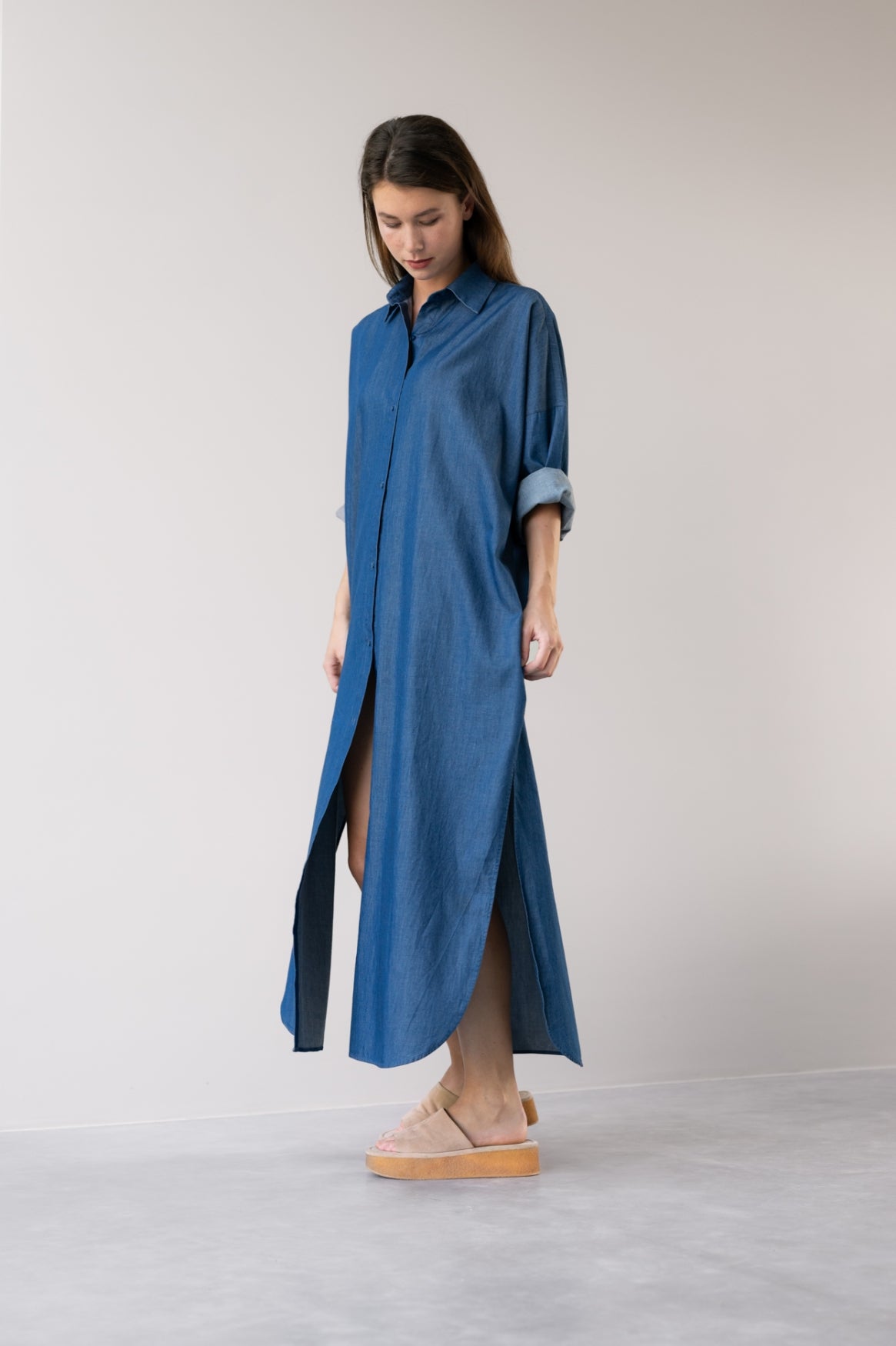 Jeannel Denim Dress