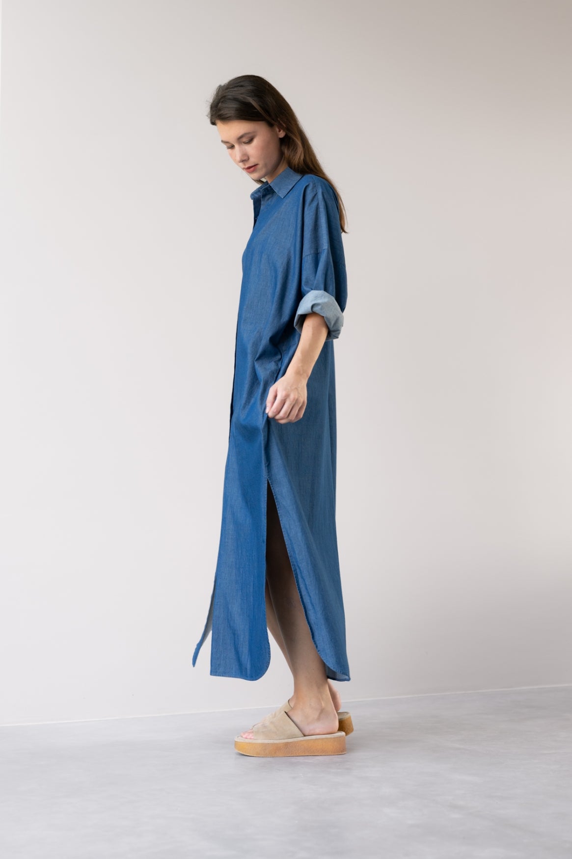 Jeannel Denim Dress
